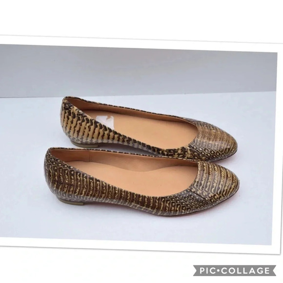 Daniblack flats - Picture 5 of 8